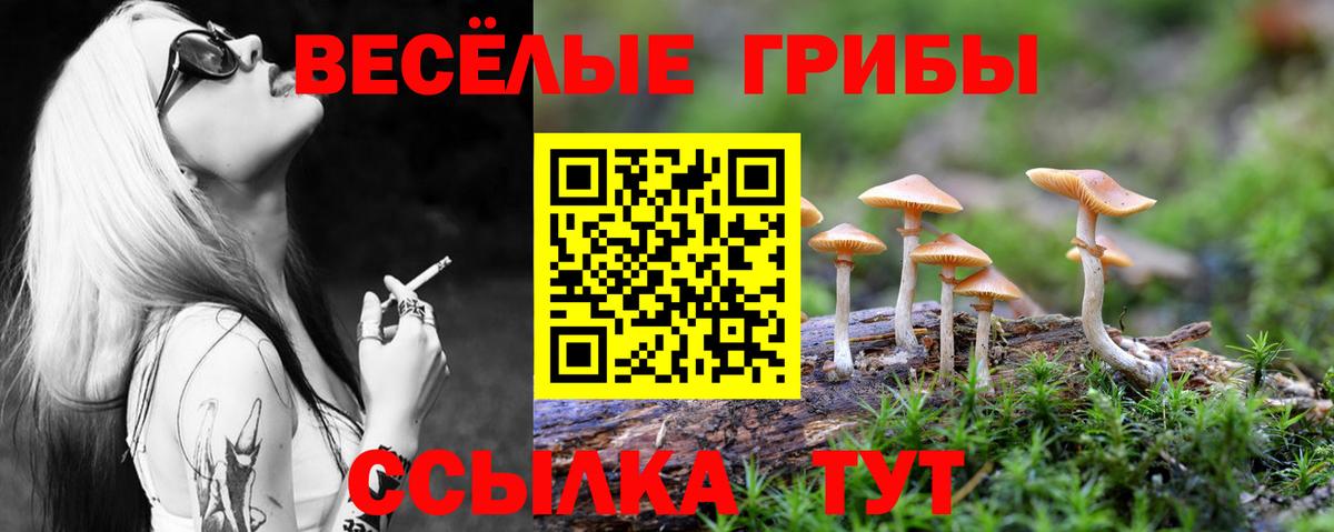 Псилоцибиновые грибы мухоморы  купить наркоту  Псилоцибиновые грибы прущие грибы  Заречный  Вход с VPN 